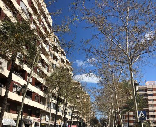 Gandia Hostal | Preciosa en GANDIA a 5 min del centro histórico