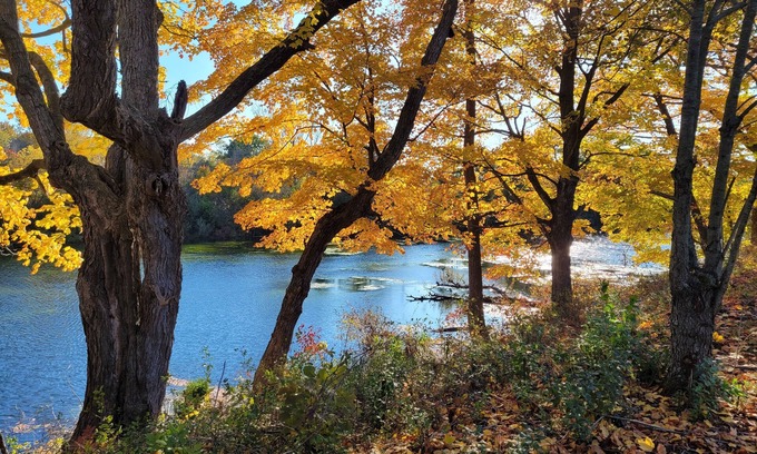 Prince Edward Cabaña | Prince Edward County Pond-Side Getaway! Family-friendly private oasis!