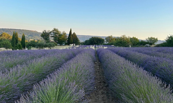 Goult Cabaña | Private estate with lavender fields and Luberon views - La Petite Maison