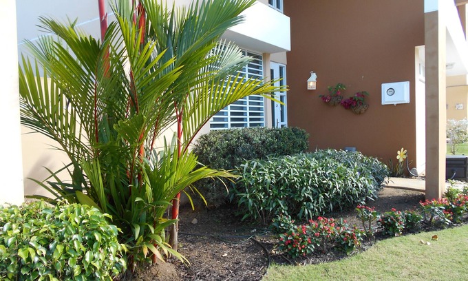 Luquillo Casa | Casa privada de 4 dormitorios, piscina, cerca de la playa y la selva tropical.