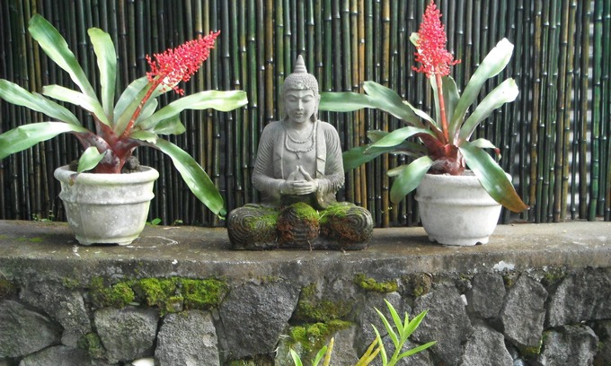 Opihihale Cabaña | Privada Cottage Estilo Island con Vista al Mar Tropical Garden