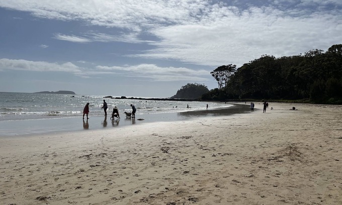 Surf Beach Casa | Private pet-friendly garden paradise, a 3 minute walk to Wimbie Beach