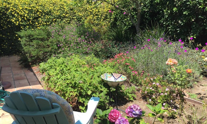 West Mesa Casa | Ala privada con piscina, cerca del océano, privada, tranquila, rodeada de jardín