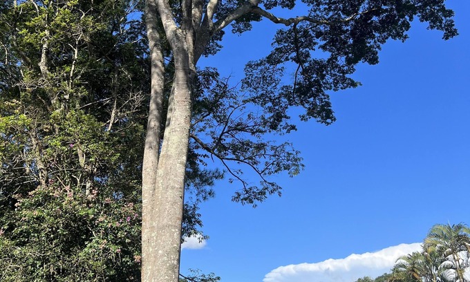 Ibiuna Casa | Procurando Tranquilidade e Diversão? Nós Temos Ambiente Natural e Aconchegante