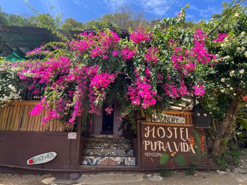 Montezuma Hostal | Pura Vida Hostel