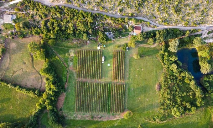 Pricelje Alquiler De RV | Purple Eye Estate - Camp & Winery (Jokaš)
