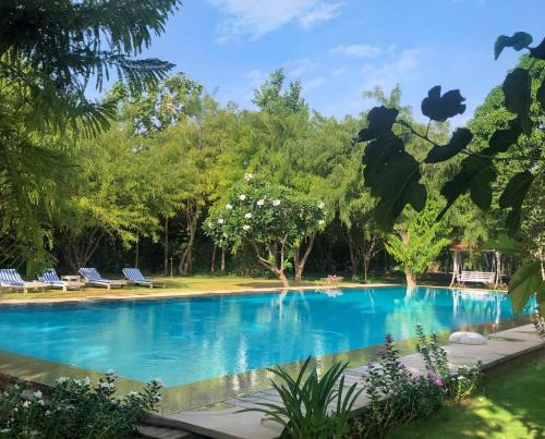 Pushkar Complejo | PushkarOrganic - Lux farm resort with pool