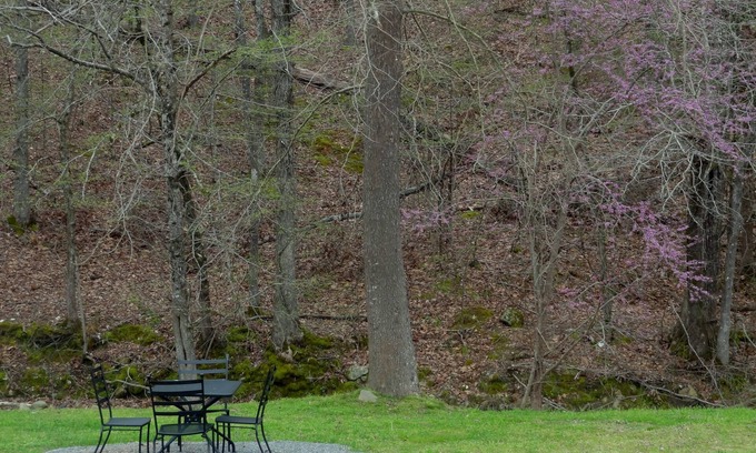 Mount Ida Apartamento | Queen Guest Room located at the Joplin Inn at the entrance to Mountain Harbor, just 2 1/2 miles from Lake Ouachita. by RedAwning