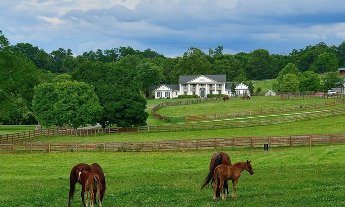 Georgetown Casa | Queenslake Mansion and Horse Farm