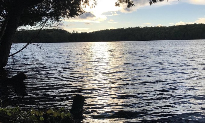 Lake of Bays Casa | Quiet, Private Muskoka Charm - Lake Front with Pool – Sleeps 8-10
