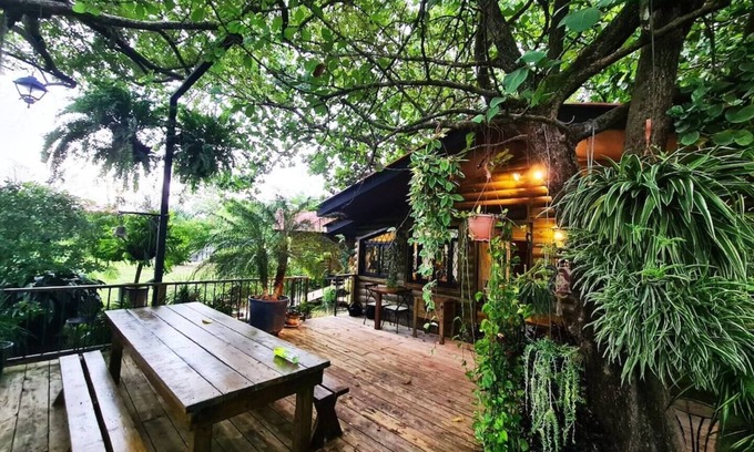 San Jose Casa | Cabaña de 1 dormitorio con baño / cocina americana y terraza exterior