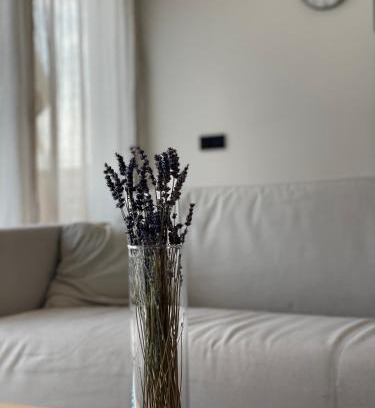 Unterallgau Apartamento | Römer Apartment und Zimmer