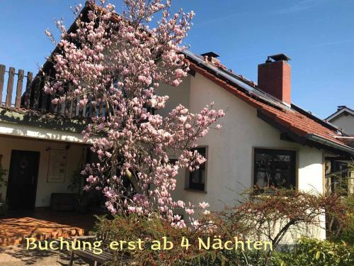 Mußbach Apartamento | Römerklause