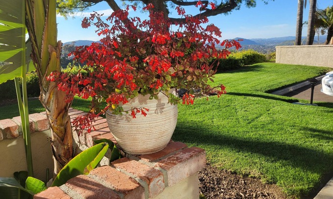 Rancho Bernardo Casa | Rancho Bernardo Pacífica Confort con Canyon Vistas