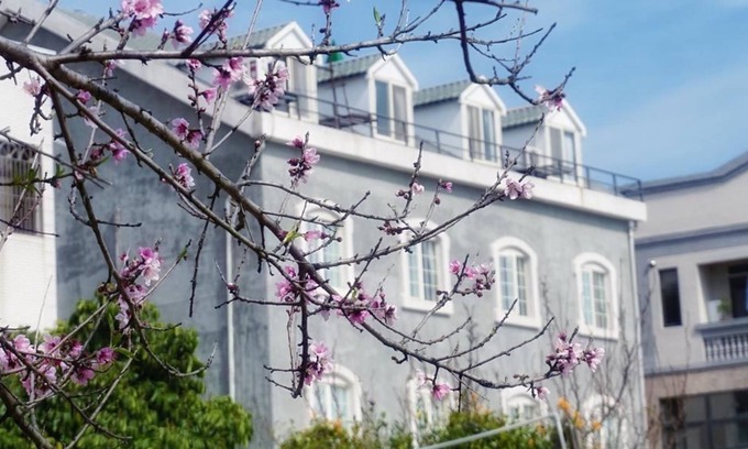 Jinhu Casa | Red Roof B&B