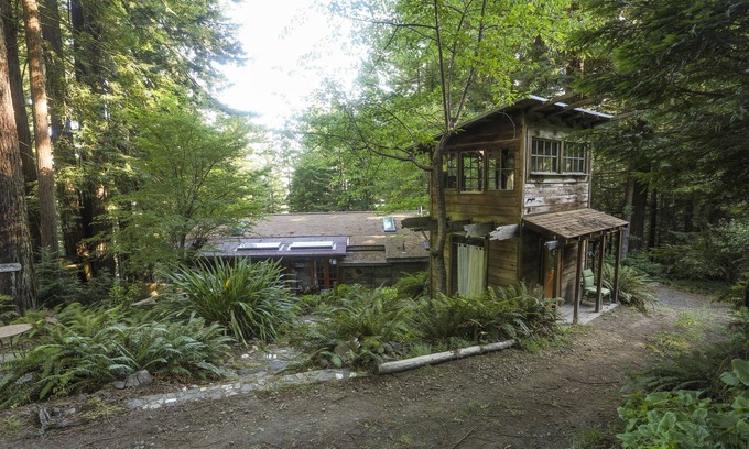 Mendocino Cabina | Escapada del bosque de Redwood