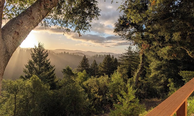 Los Gatos Casa | Redwood Haven: Your Santa Cruz Mountains Gateway