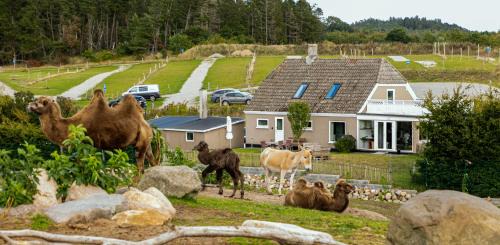 Ebeltoft Casa | Ree Park Safari