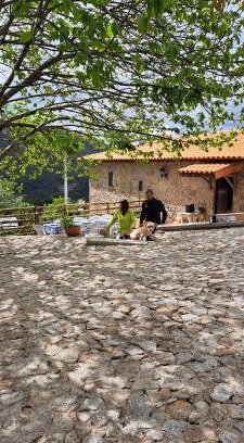 Bico Casa | Refugio dos Cartolas