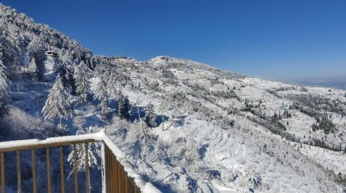 Fagu Apartamento | Regency I Vacations I Conference I MICE I Family Events I Open Air Terrace I Sky Bonfire I Wooden Rooms With Pvt Balconies I Charvi Retreat by Exotic Stays