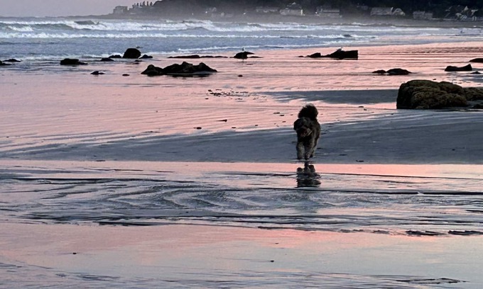 York Beach Cabaña | Longs Sands Beach Cottage con Bunkhouse recientemente renovado recientemente a pie de playa!