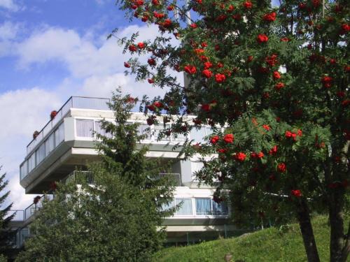 Marilleva Apartamento | Res. Marilleva 1400 Apt.Solandra