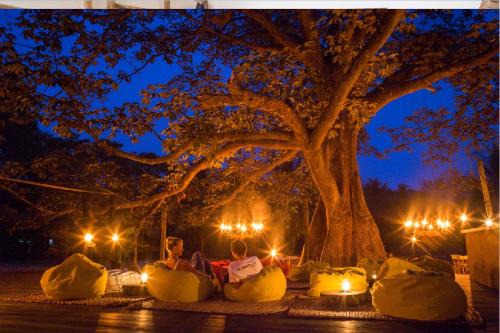 Palomino Hotel | Reserva Natural El Matuy