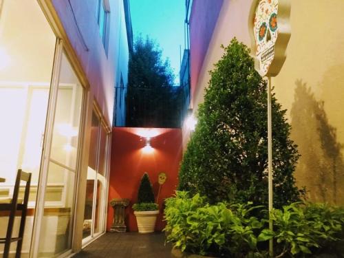 Paseos de Taxqueña Cama Y Desayuno | Residence Las Trojes Cdmx
