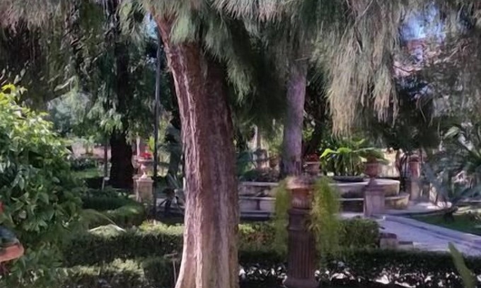 Borgo-Sanzio Cama Y Desayuno | Residenza del Turista B&B