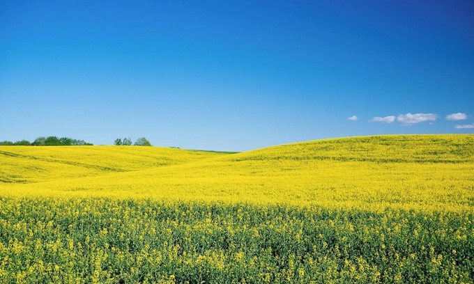 North Central Westminster Casa | Rest easy in our quiet Westminster, CO, hotel