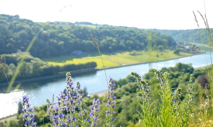 Waulsort Apartamento | Retro getaway at the Meuse valley