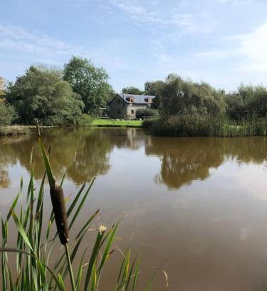 Bethania Casa | Rhedyn - Cosy Fishing Lodge Near Aberaeron