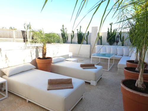 Sidi Bou Amar Casa | Riad Coconut