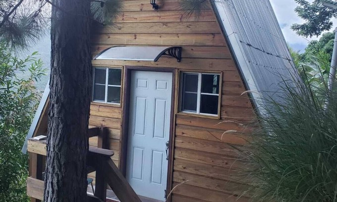 Blue Mountains National Park Otro | Bamboo Grove Camp Blue Mountain Desierto de montaña