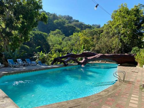 Minca Hostal | Rio Elemento