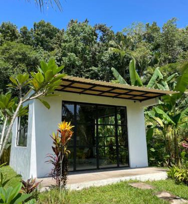 Medewi Complejo | Rio River Jungle Resort