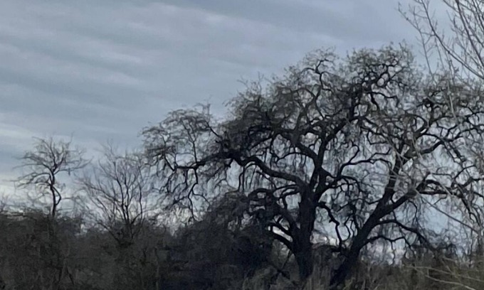 Raisin Casa | River country home- near Kingsburg