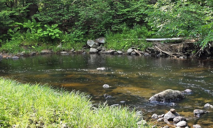 Canaan Casa | River Retreat –Tranquil Getaway, Fish, Hike & Explore from Your Back Door