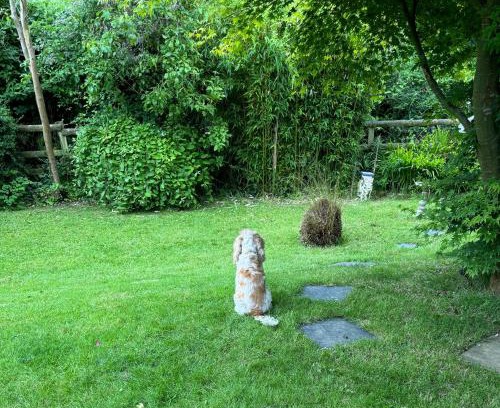 Combe Martin Casa | Riverside