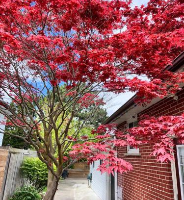 Mississauga Apartamento | Riverwood Home-Entire Rental Unit