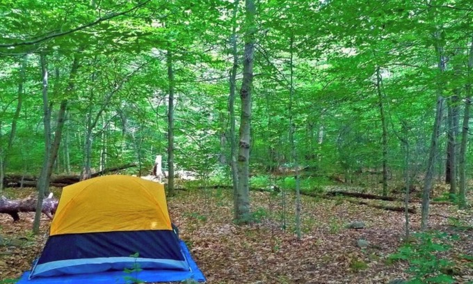 Cullman Alquiler De RV | Rock The South Car Camping Walk To Rock The South