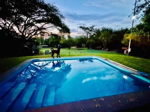 Bela-Bela Casa | Rockey Mountain Bush lodge