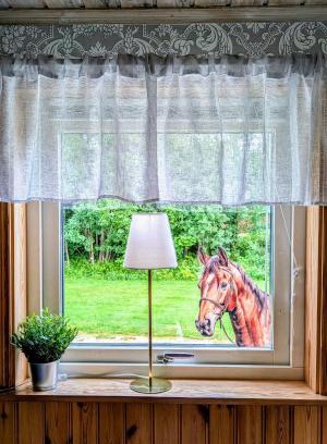 Dalskog Casa | Rolig häst, Kaneeling Stugby AB