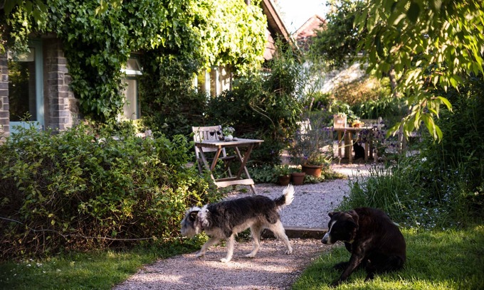 Buckfastleigh Cabaña | Romántico soleado sur de Devon Lodge Jardín + wifi conjunto de jardines y bosques