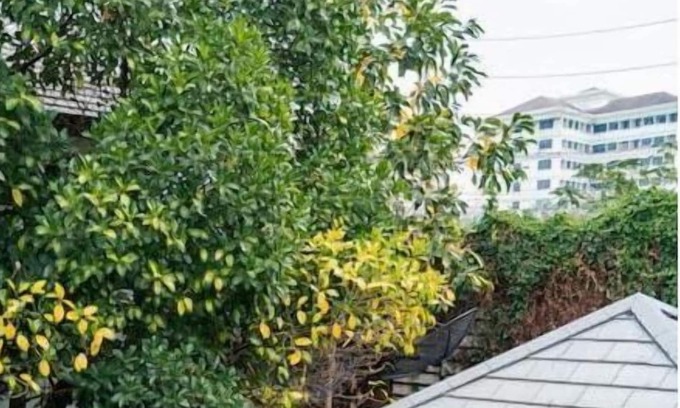 Bang Lamung Villa | Romantic Thai Villa