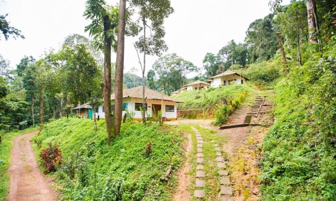 Madikeri Casa | Room in Lodge - The Nest Bettathur, Coorg Ct 003