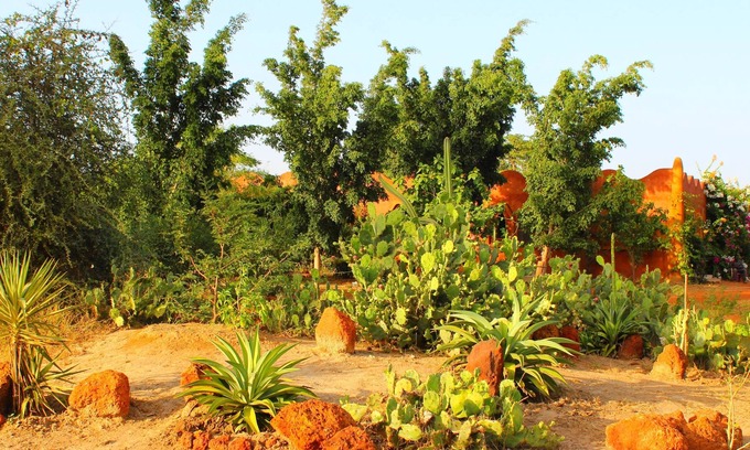 La Somone Apartamento | Habitaciones en el medio de la sabana