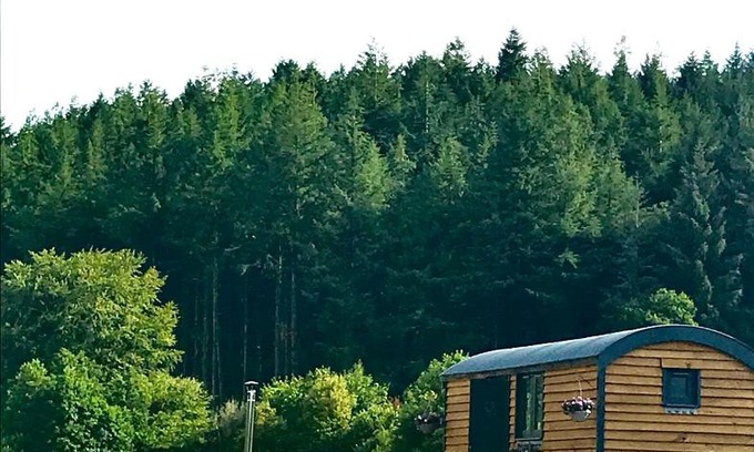 Launceston Cabina | Roosters Retreat