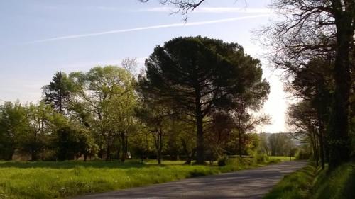 Lussan Casa | Roquepoix, escale au vert pour sillonner le Gers