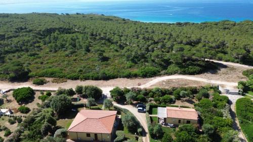 Alghero Apartamento | Rosanna House in Bombarde Beach